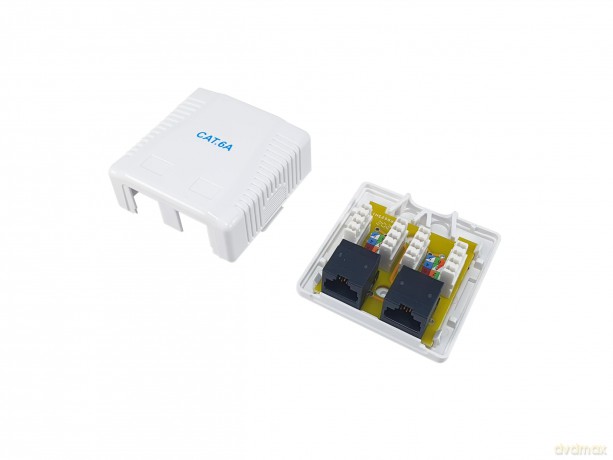 Equip Aufputzdose Cat6A 2-Port 2x RJ45 U