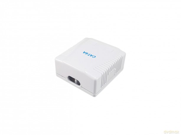 Equip Aufputzdose Cat6A 2-Port 2x RJ45 U