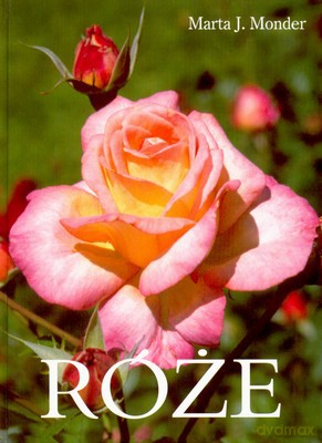 Róże - Marta J.Monder [KSIĄŻKA]