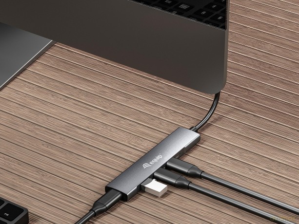 Equip USB-Hub 4-Port 3.2/C->4x3.0 o