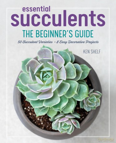 Essential Succulents [KSIĄŻKA]