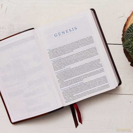 Esv Macarthur Study Bible Hb [KSIĄŻKA]
