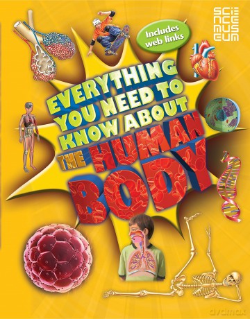 Everything You Need To Know About The Human Body [KSIĄŻKA]