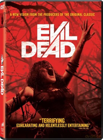 Evil Dead (2013) [DVD]