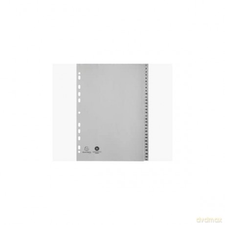 Exacompta Ordnerregister Vollformat 1-31