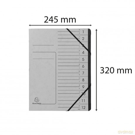 Exacompta Ordnungsmappen 12 Fcher grau