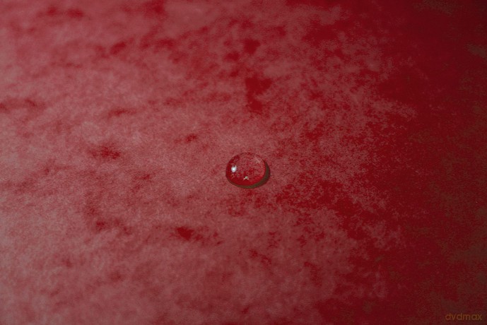 Exacompta Ordnungsmappen 12 Fcher rot