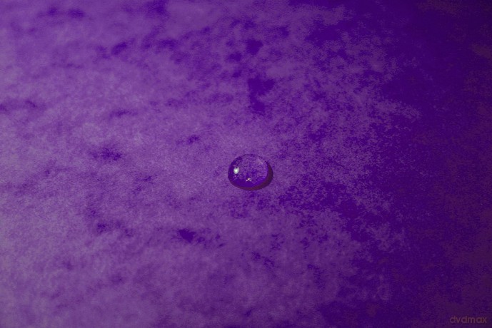Exacompta Ordnungsmappen 12 Fcher viole