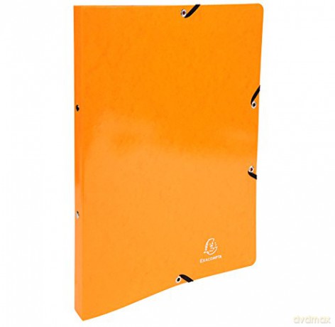 Exacompta: Exacompta Ringmappe Iderama orange