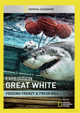 Expedition Great White: Feeding Frenzy [DVD]