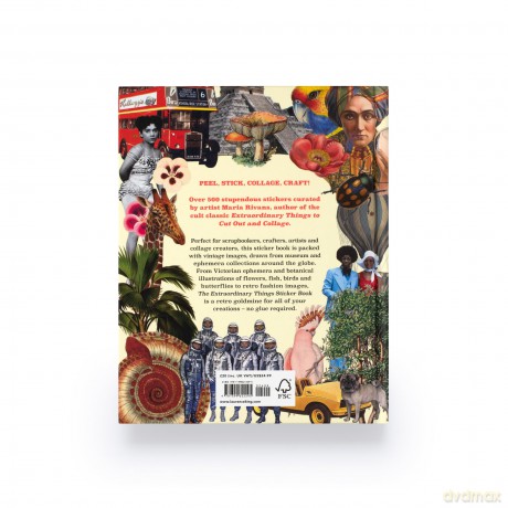 Extraordinary Things Sticker Book [KSIĄŻKA]