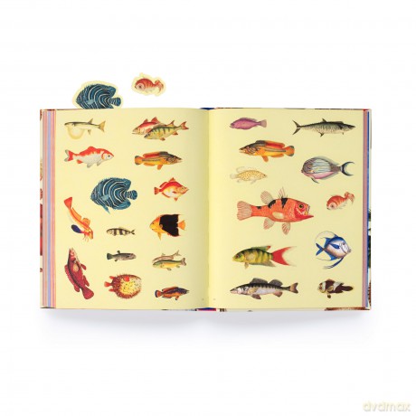 Extraordinary Things Sticker Book [KSIĄŻKA]
