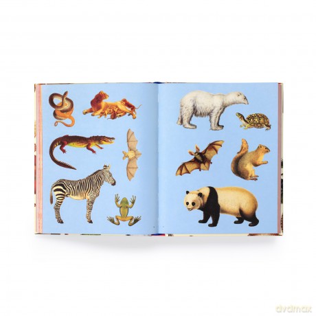 Extraordinary Things Sticker Book [KSIĄŻKA]