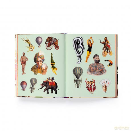 Extraordinary Things Sticker Book [KSIĄŻKA]