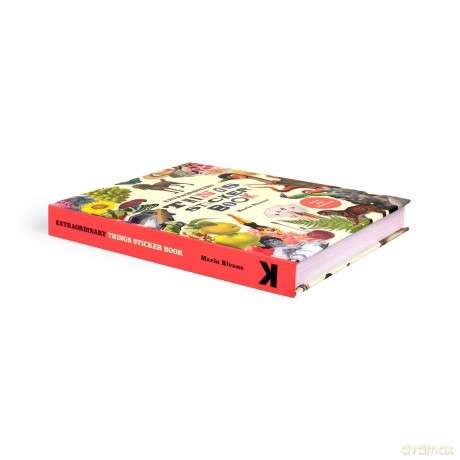Extraordinary Things Sticker Book [KSIĄŻKA]