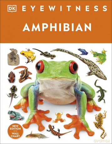 Eyewitness Amphibian [KSIĄŻKA]