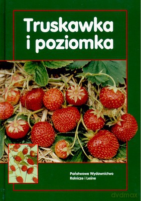 Truskawka I Poziomka [KSIĄŻKA]