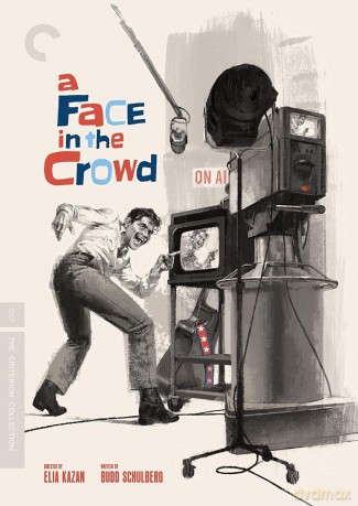 Face In The Crowd [DVD]
