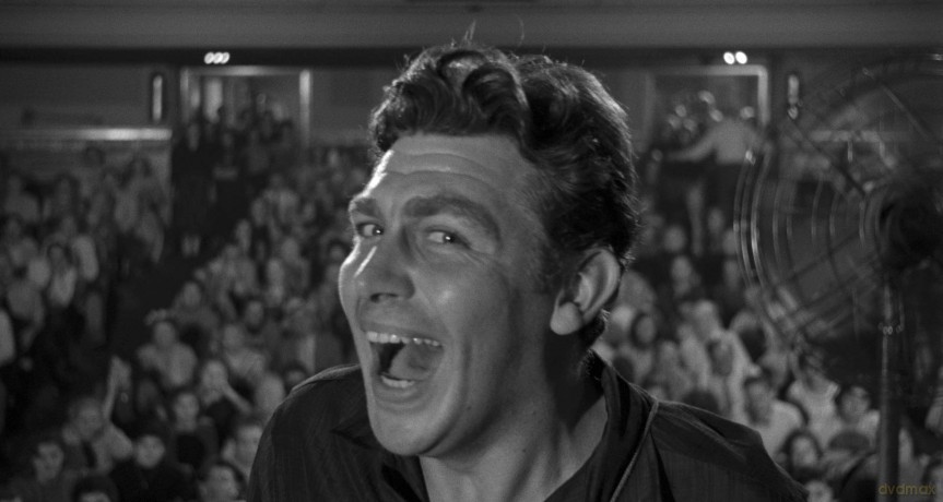 Face In The Crowd [DVD]