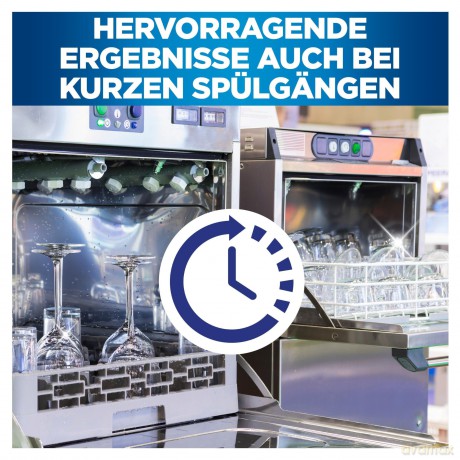 FAIRY Professional PLATINUM PLUS Spźlmas