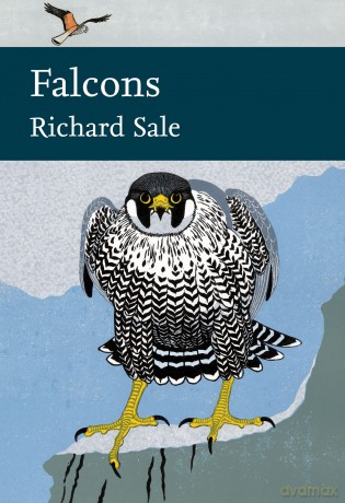 Falconsnn Lib132 Hb [KSIĄŻKA]