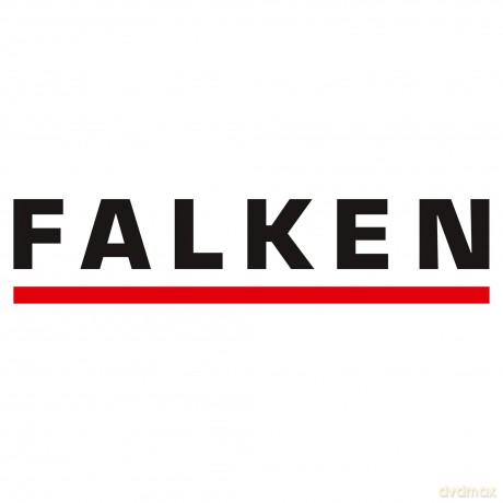 Falken: FALKEN Manga Faces Motivordner 8,0 cm DI