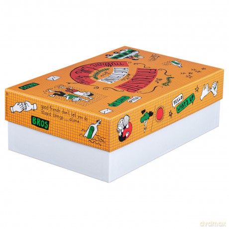 Falken: FALKEN Story Aufbewahrungsbox Friends 24