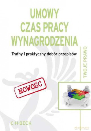 Umowy Czas Pracy Wynagrodzenia Trafny I Praktyczny Dobór Przepisów [KSIĄŻKA]