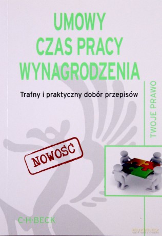 Umowy Czas Pracy Wynagrodzenia Trafny I Praktyczny Dobór Przepisów [KSIĄŻKA]