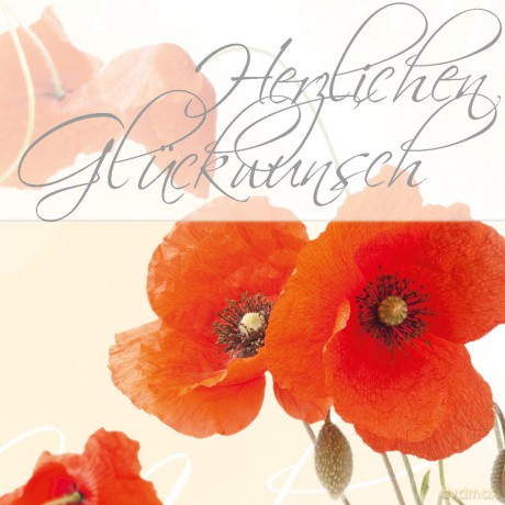 Faltkarte Red Poppies,A6,10+10