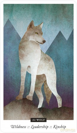 Familiar Field Oracle [KSIĄŻKA]