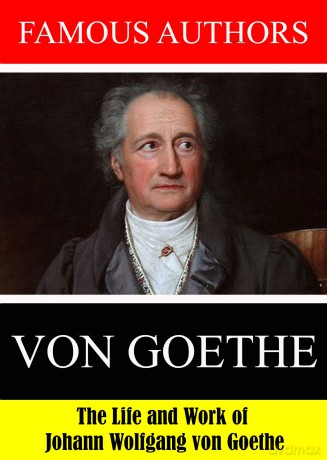 Famous Authors: The Life And Work Of Johann Wolfga [DVD]