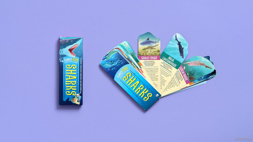 Fandex Kids Sharks [KSIĄŻKA]