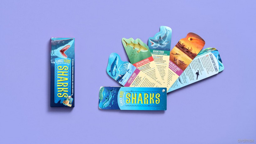 Fandex Kids Sharks [KSIĄŻKA]