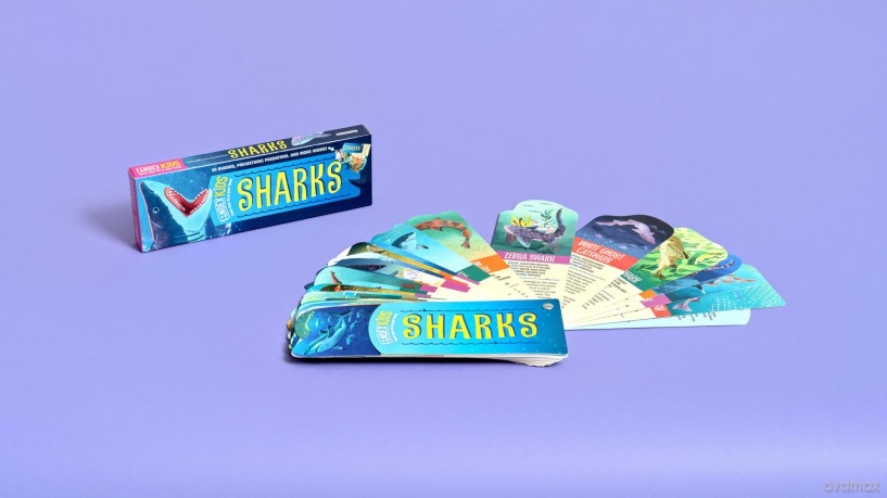 Fandex Kids Sharks [KSIĄŻKA]