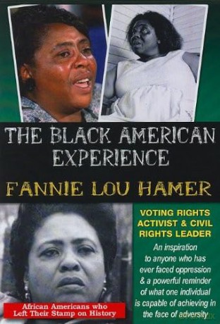 Fannie Lou Hamer Voting Rights Activist [DVD]