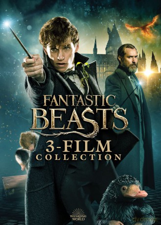 Fantastic Beasts 3-Film Collection [3DVD]