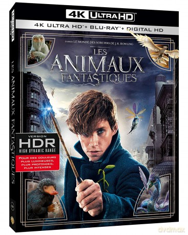 Fantastic Beasts And Where To Find Them [Blu-Ray]