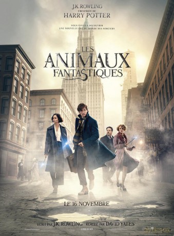 Fantastic Beasts And Where To Find Them [Blu-Ray]