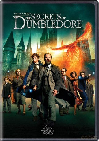 Fantastic Beasts: Secrets Of Dumbledore [DVD]