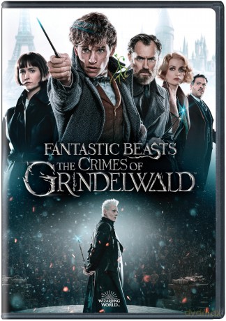 Fantastic Beasts:The Crimes Of Grindel [DVD]