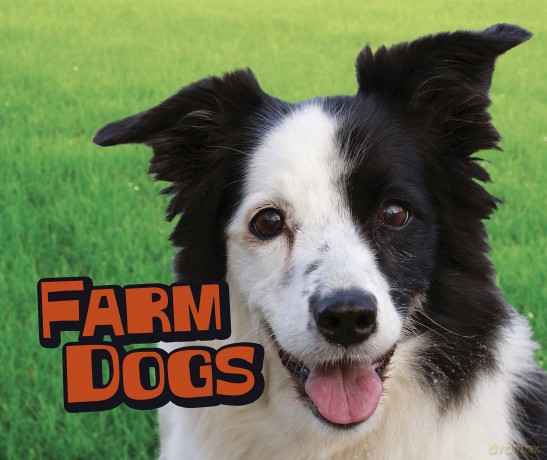Farm Animals Dogs [KSIĄŻKA]