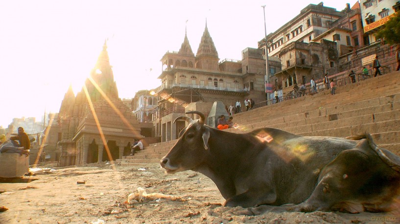 Fascinating India [DVD]