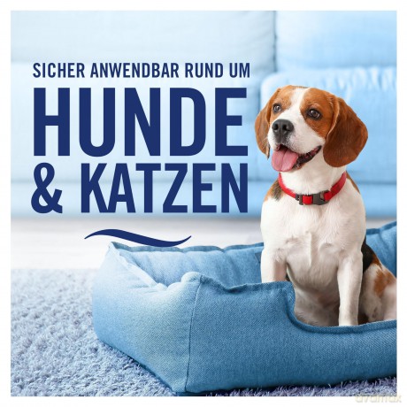 febreze Textilerfrischer Baumwollbrise f