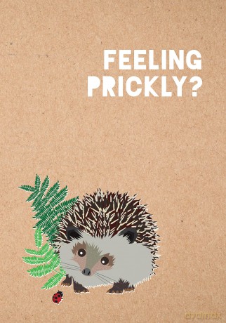 Feeling Prickly Journal [KSIĄŻKA]