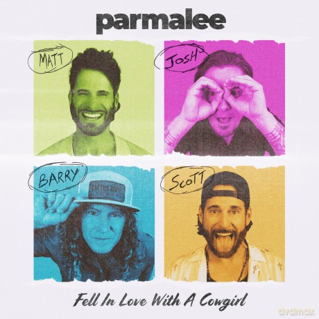 Parmalee: Fell In Love With A Cowgirl [CD]