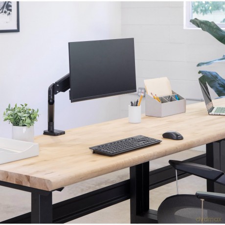 Fellowes Platinum Monitorarm einzel