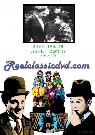 Festival Of Silent Comedy (Volume 5) [DVD]