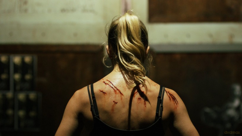 Ffc-Female Fight Club [DVD]