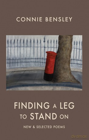 Finding A Leg To Stand On [KSIĄŻKA]
